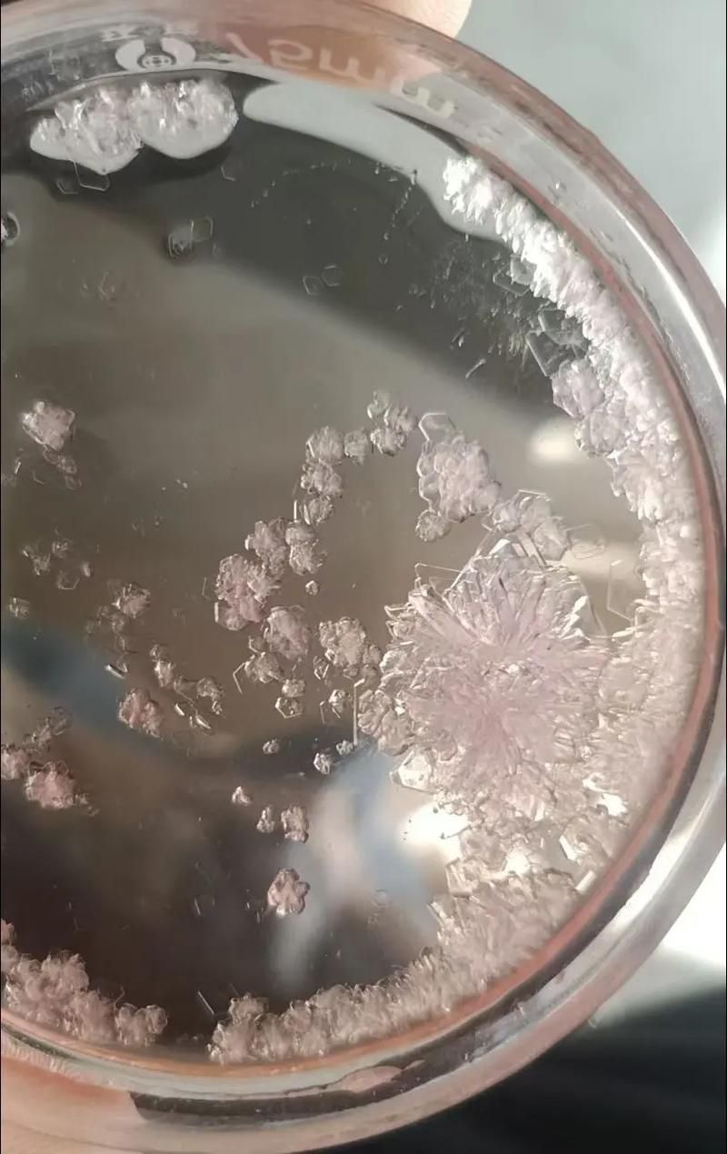 如何判斷水族專用鹽的質(zhì)量好壞