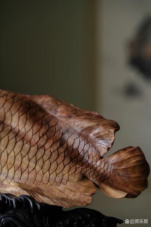 龍魚木雕的收藏前景如何，龍魚木雕收藏前景詳解龍魚木雕收藏前景詳解龍魚木雕收藏前景