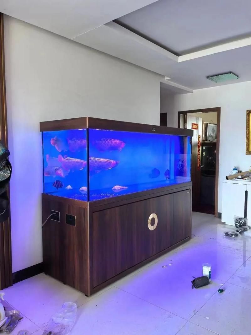 高端龍魚缸品牌有哪些推薦？，高端龍魚缸品牌推薦