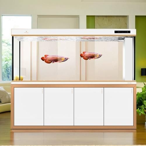高端龍魚缸品牌有哪些推薦？，高端龍魚缸品牌推薦