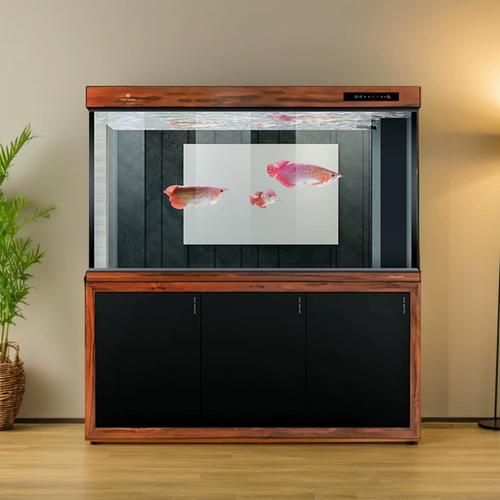 高端龍魚缸品牌有哪些推薦？，高端龍魚缸品牌推薦